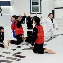 비케이주짓수아카데미