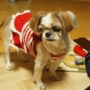 신미주(아) 이미지