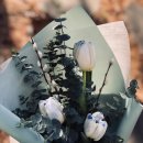 시가자도 이미지