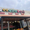 청수당약국 | 제주 서쪽 애월 2박3일 여행코스추천 2일차| 오설록카페, 훈도 흑돼지, 아르떼뮤지엄, 종문 술안주오마카세