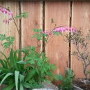 다리골가든 이미지