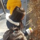 사우촌공원 Daum카페