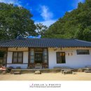 리틀포레스트 이미지