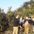 팜팜농장 이미지