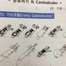 문래초등학교 이미지