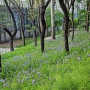 서인공원 이미지