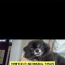 마동근린공원산책로 네이버블로그
