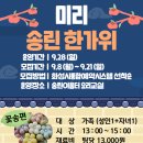 송린이음터 요리교실 이미지