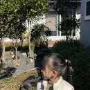 서하목장 이미지