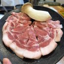 오늘도꿉자 네이버블로그