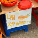 낭이막창 | 광주리에 고양이 주워 담양~