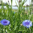 누리농장 이미지