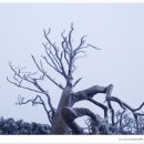 사문생활법복 | 자경문- 야운선사
