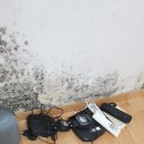 민들레청소방역 이미지
