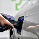 대해웰빙마트 이미지