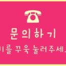 개네가고양이네