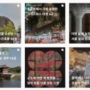 피드데이