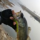 부엉덤이 이미지