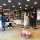 해리애견 이미지