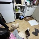 세종서부농협 농축산물직판장 이미지