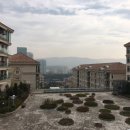 분당-243 이미지