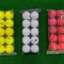 양프로골프스쿨 이미지