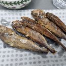 행복해질 개 이미지