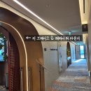 호텔통연동 | 용산역 나인트리 로카우스 호텔ㅣ아페티 조식, 수영장, 해피아워, 라운지 호캉스 후기 (여기어때 쿠폰)