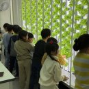 주안농장 이미지