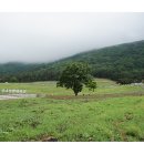 고향목장 이미지