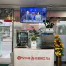 모이세돈숯불뒷고기