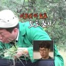 도토 이미지