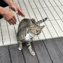 씨맨하우스 이미지