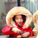 피치 앤 마리 이미지