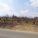 상주사벌우체국 이미지