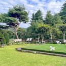 포포애견펜션 이미지