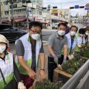 로터리길 이미지