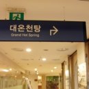허심청 Daum카페
