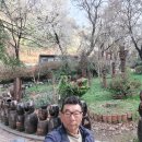 너부대근린공원 이미지