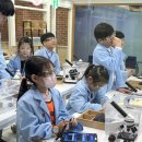 하루배움 체험 특강 이미지