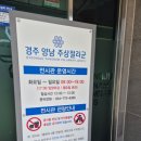 주상거기회관앞 | 경주 아이랑 갈만한곳 양남 주상절리 전망대 | 바다 산책코스 솔직후기