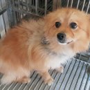 지정면 복지회관 이미지