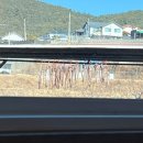 강동로1-1 이미지