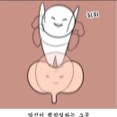 [행복대학] 혼밥과 음식선물 | 임신 20주~21주 해운대백병원 정밀초음파 양수검사결과 입터진임산부의 먹방