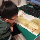 독서, 포트폴리오 꾸미기 이미지