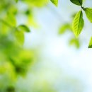 자연산업 이미지