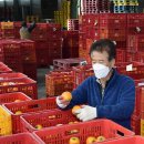 상주원예농협 이미지