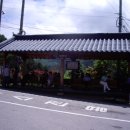 일동수목원 Daum카페