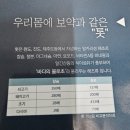 복주는 스토어