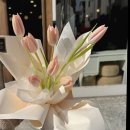 블랑-메이 | 아산에서 꽃 선물할 때 실패 없는 곳, 메이블랑플라워 방문 후기